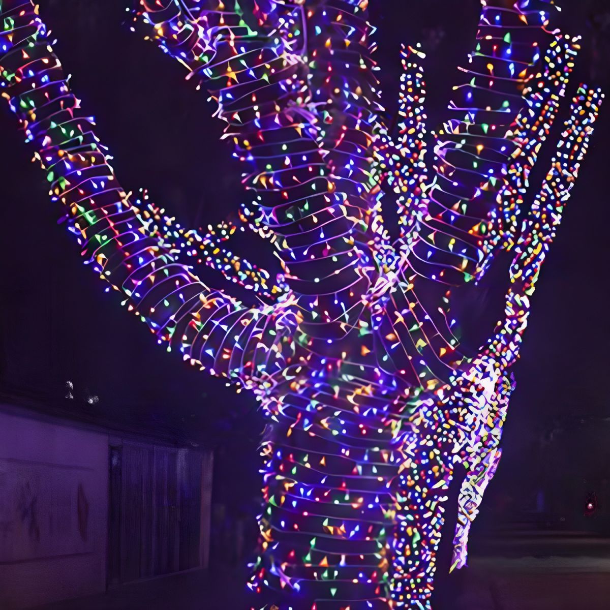 Modern Solar Outdoor String Light with LED Beads | Verina