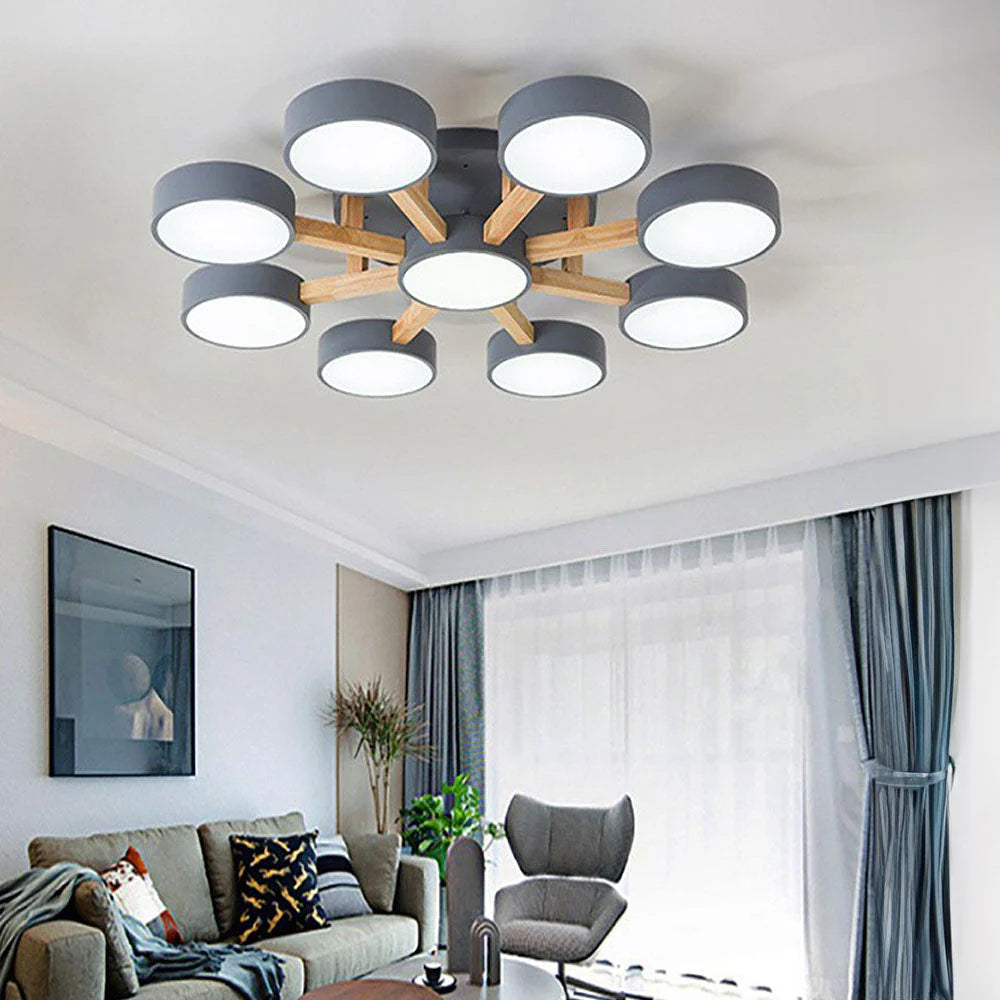 Nordic Acrylic Cluster Ceiling Light for Indoor Use | Evoria