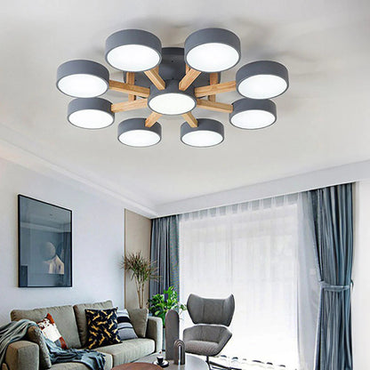 Nordic Acrylic Cluster Ceiling Light for Indoor Use | Evoria