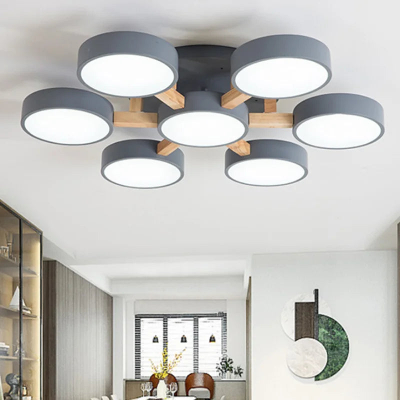 Nordic Acrylic Cluster Ceiling Light for Indoor Use | Evoria