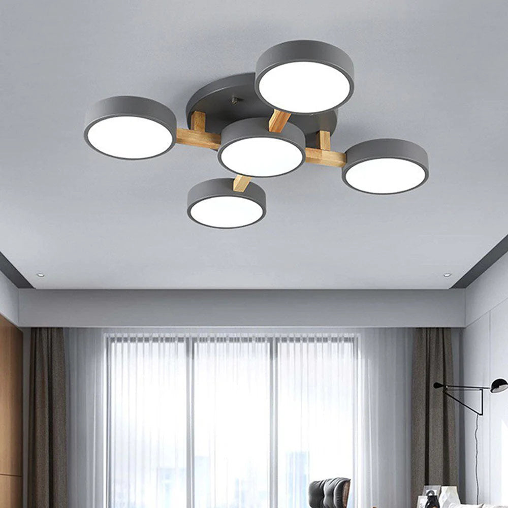Nordic Acrylic Cluster Ceiling Light for Indoor Use | Evoria