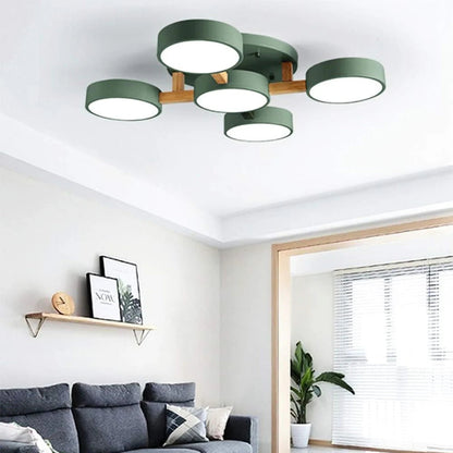 Nordic Acrylic Cluster Ceiling Light for Indoor Use | Evoria