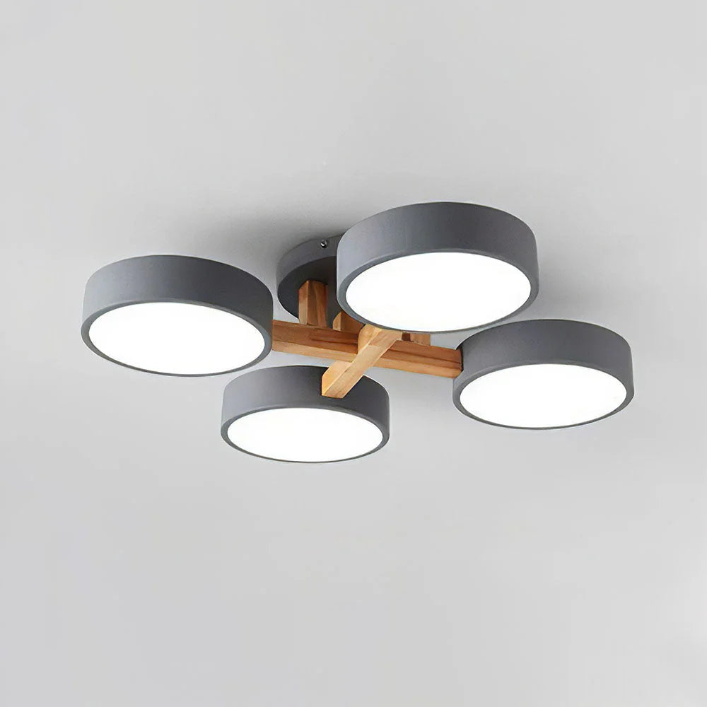 Nordic Acrylic Cluster Ceiling Light for Indoor Use | Evoria