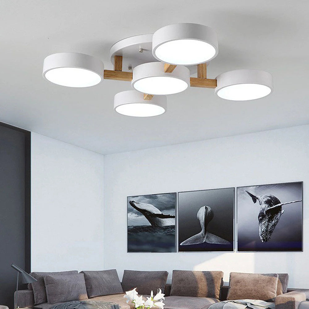 Nordic Acrylic Cluster Ceiling Light for Indoor Use | Evoria