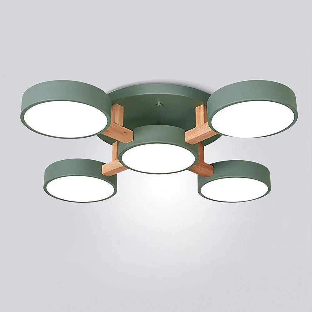 Nordic Acrylic Cluster Ceiling Light for Indoor Use | Evoria