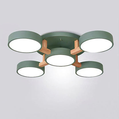 Nordic Acrylic Cluster Ceiling Light for Indoor Use | Evoria
