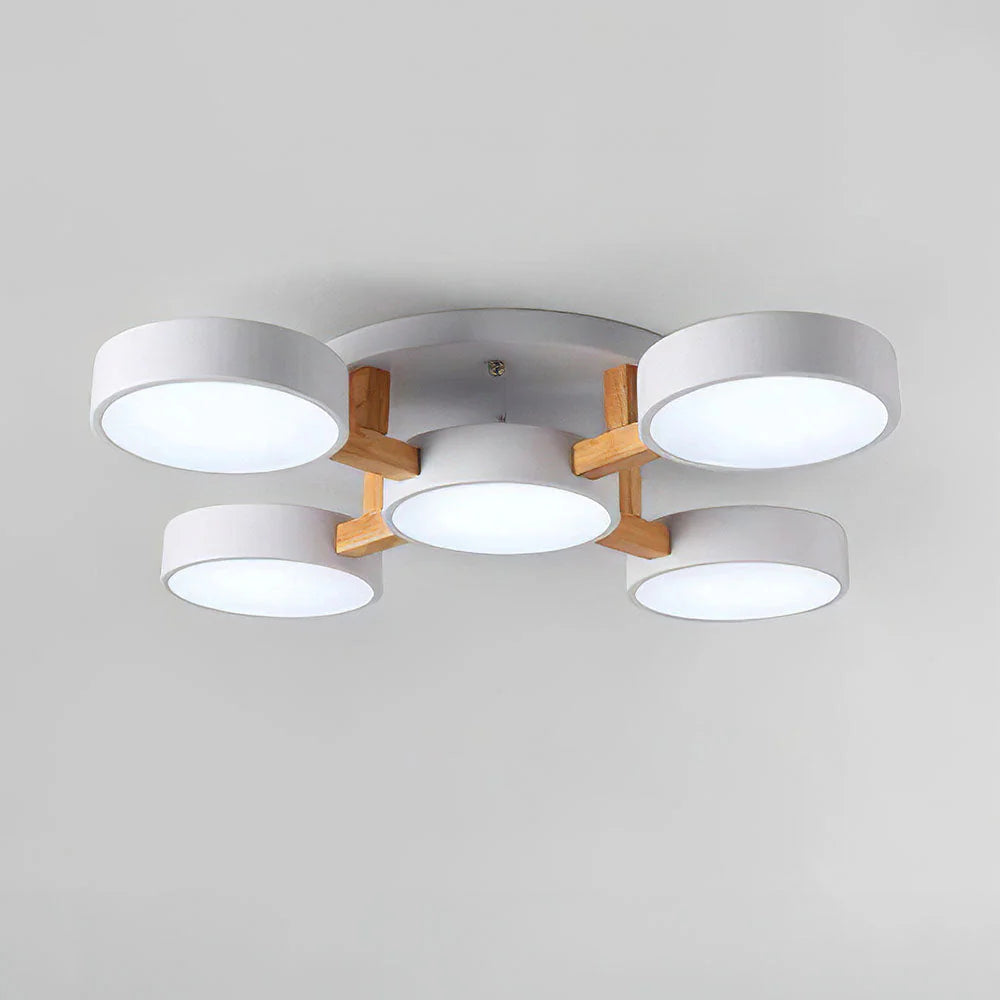 Nordic Acrylic Cluster Ceiling Light for Indoor Use | Evoria