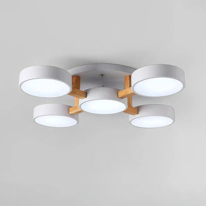 Nordic Acrylic Cluster Ceiling Light for Indoor Use | Evoria