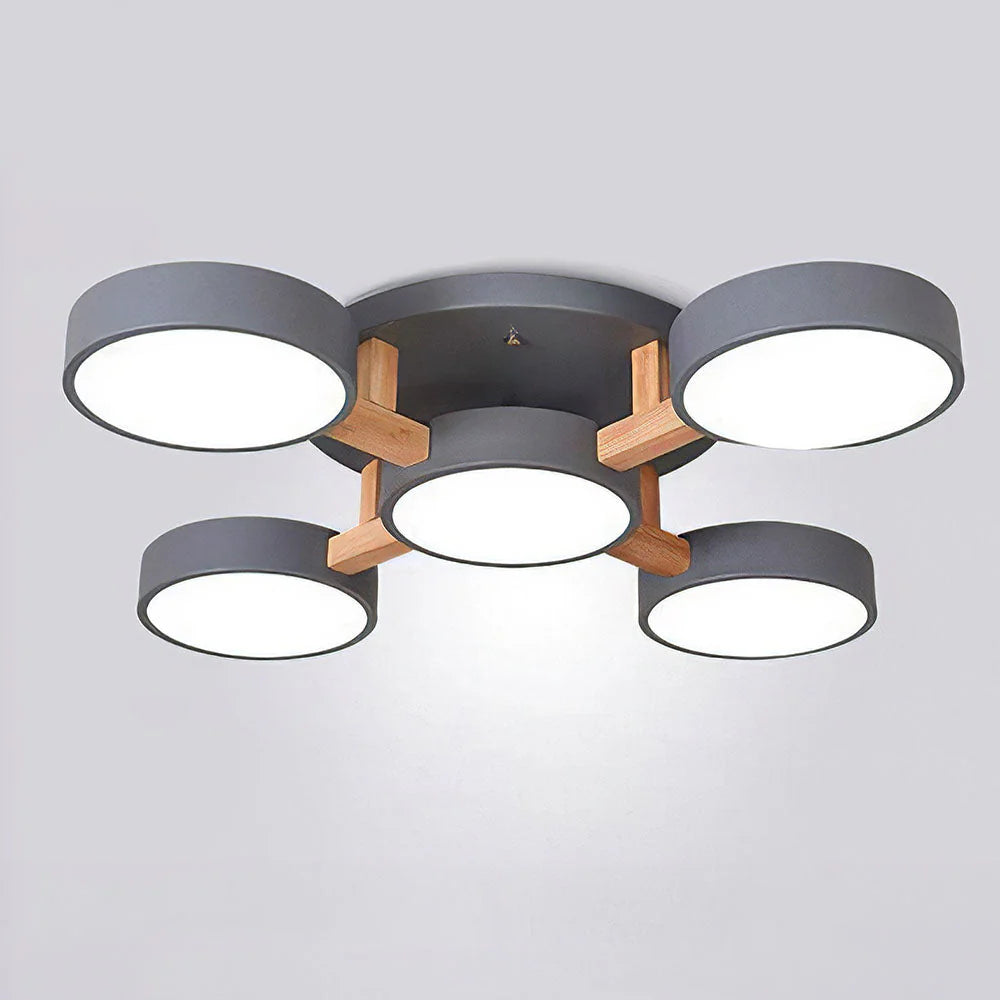 Nordic Acrylic Cluster Ceiling Light for Indoor Use | Evoria