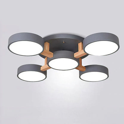 Nordic Acrylic Cluster Ceiling Light for Indoor Use | Evoria