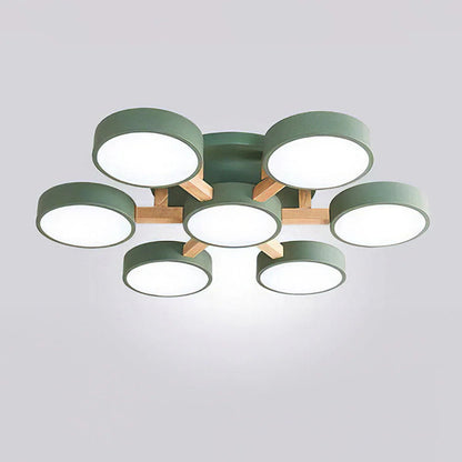 Nordic Acrylic Cluster Ceiling Light for Indoor Use | Evoria