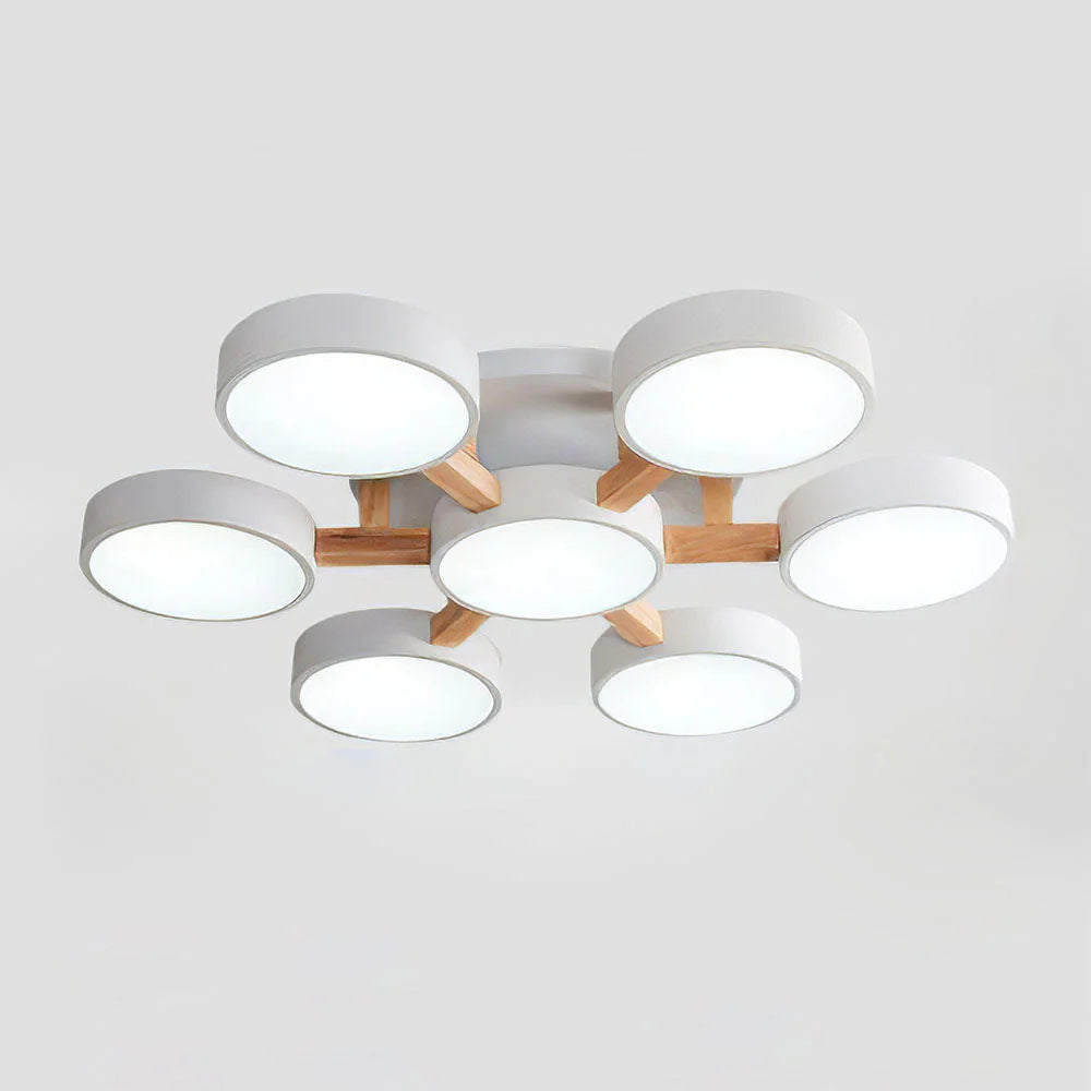 Nordic Acrylic Cluster Ceiling Light for Indoor Use | Evoria
