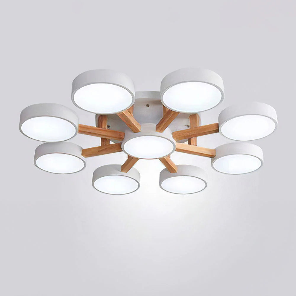 Nordic Acrylic Cluster Ceiling Light for Indoor Use | Evoria