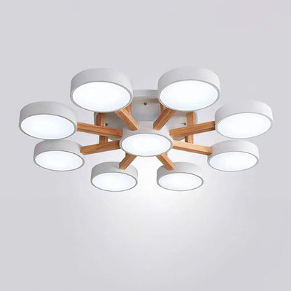 Nordic Acrylic Cluster Ceiling Light for Indoor Use | Evoria