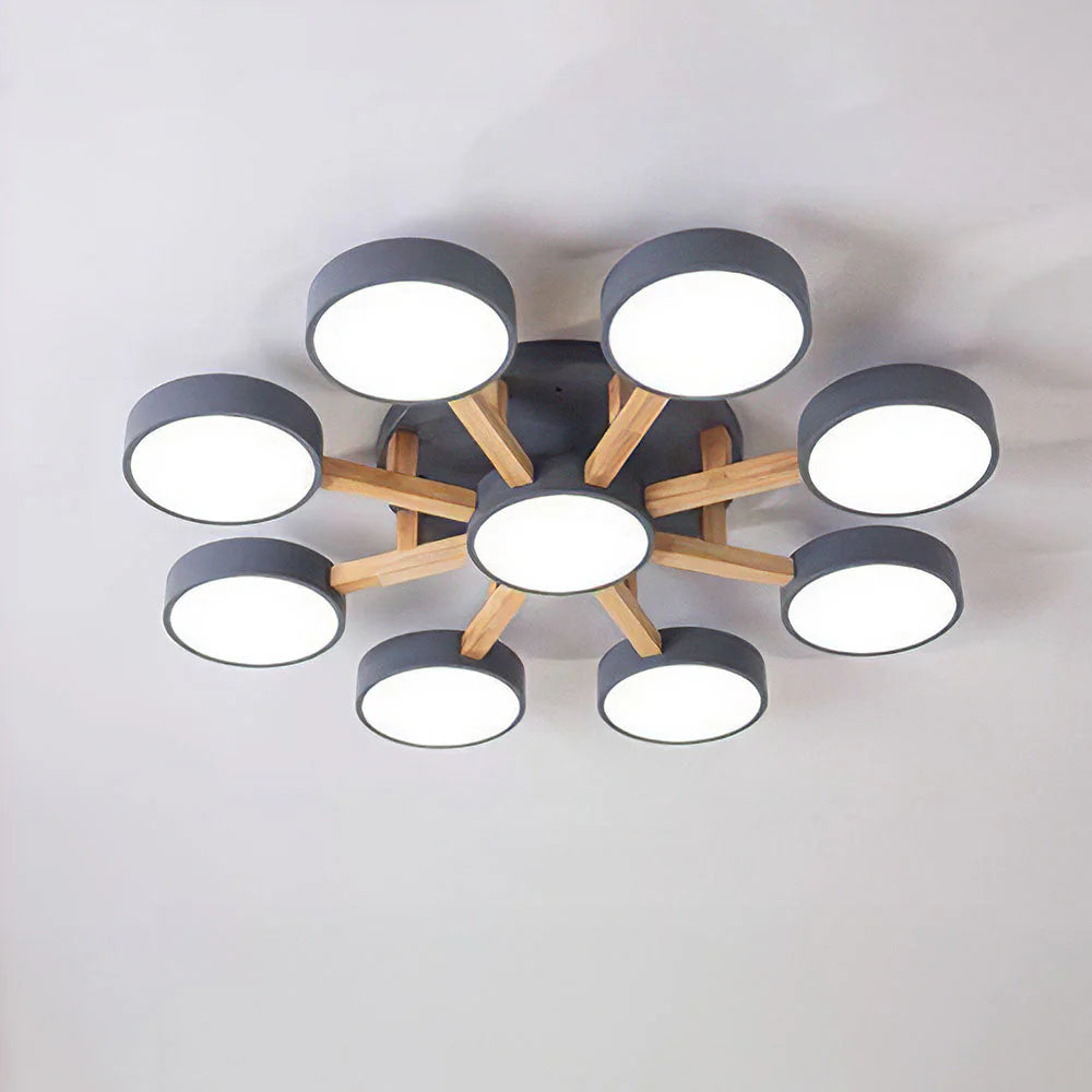 Nordic Acrylic Cluster Ceiling Light for Indoor Use | Evoria
