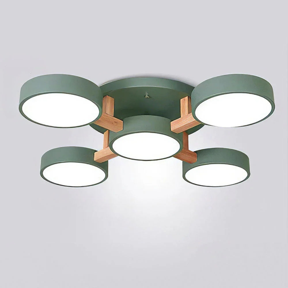 Nordic Acrylic Cluster Ceiling Light for Indoor Use | Evoria