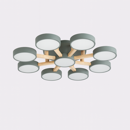 Nordic Acrylic Cluster Ceiling Light for Indoor Use | Evoria