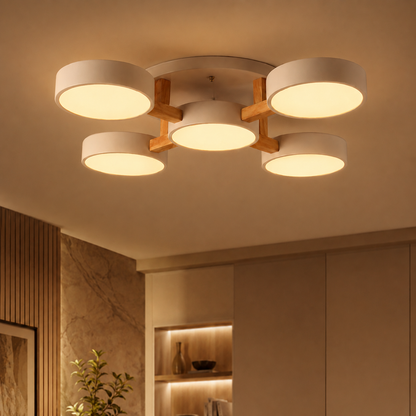 Nordic Acrylic Cluster Ceiling Light for Indoor Use | Evoria