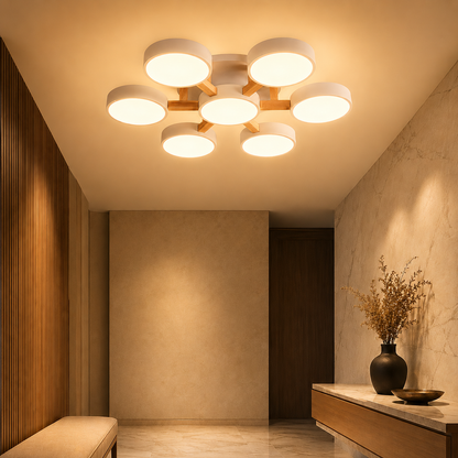 Nordic Acrylic Cluster Ceiling Light for Indoor Use | Evoria