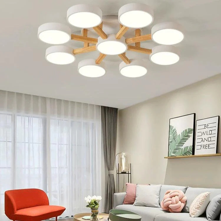 Nordic Acrylic Cluster Ceiling Light for Indoor Use | Evoria