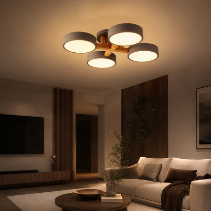 Nordic Acrylic Cluster Ceiling Light for Indoor Use | Evoria