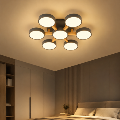 Nordic Acrylic Cluster Ceiling Light for Indoor Use | Evoria