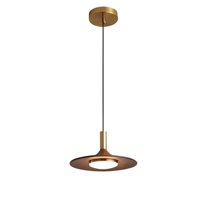 Nordic Iron Shade Pendant Light with Warm LED Glow | Arvique