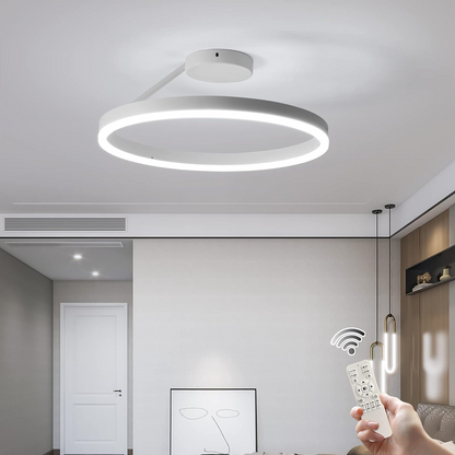 Nordic LED Metal Ceiling Light for Modern Homes | Soraliq