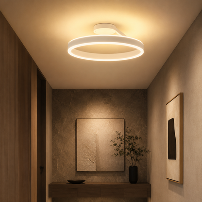 Nordic LED Metal Ceiling Light for Modern Homes | Soraliq