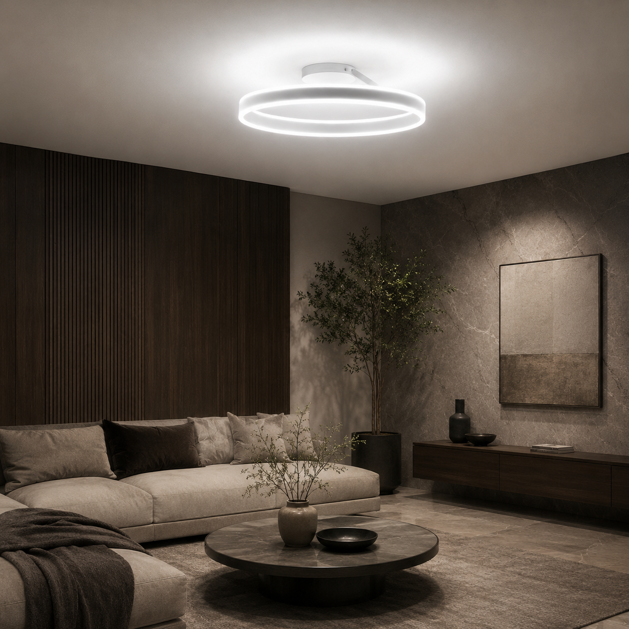 Nordic LED Metal Ceiling Light for Modern Homes | Soraliq
