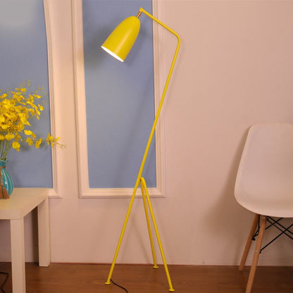 Nordic Metal Dome Floor Lamp With Arched Frame | Corvane