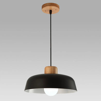 Nordic Metal Pendant Light With Focused LED Lighting | Morvexa