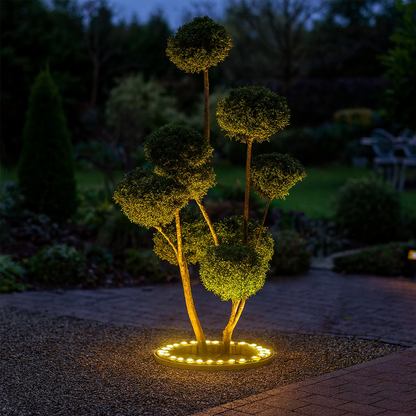 LED Outdoor Garden Spotlight for Tree Lighting | Gardova