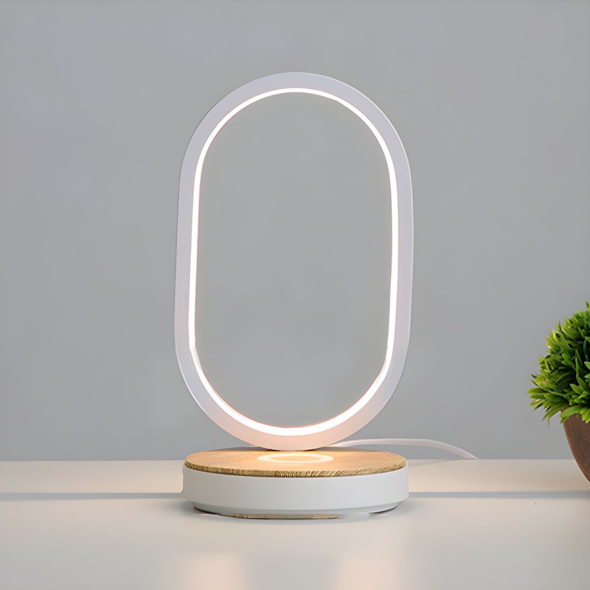 Oval Touch Control Table Lamp With LED Light Modern | Vyntris