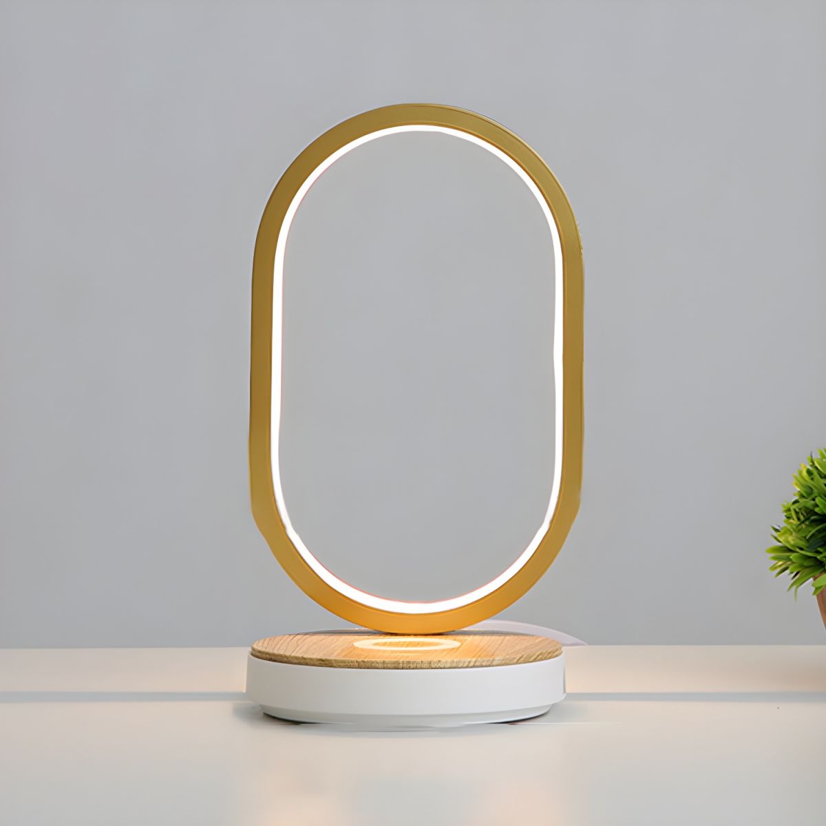 Oval Touch Control Table Lamp With LED Light Modern | Vyntris