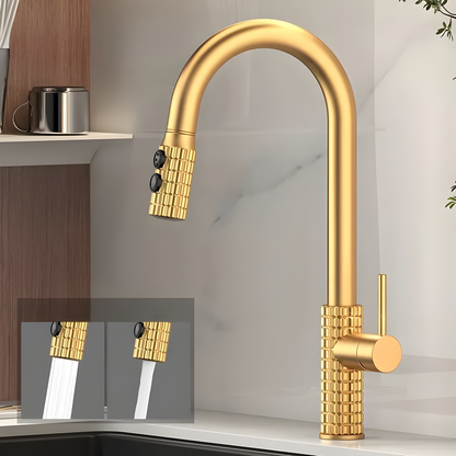 QuintaFlow | High Arch Kitchen Faucet with Pull-Out Sprayer 0
