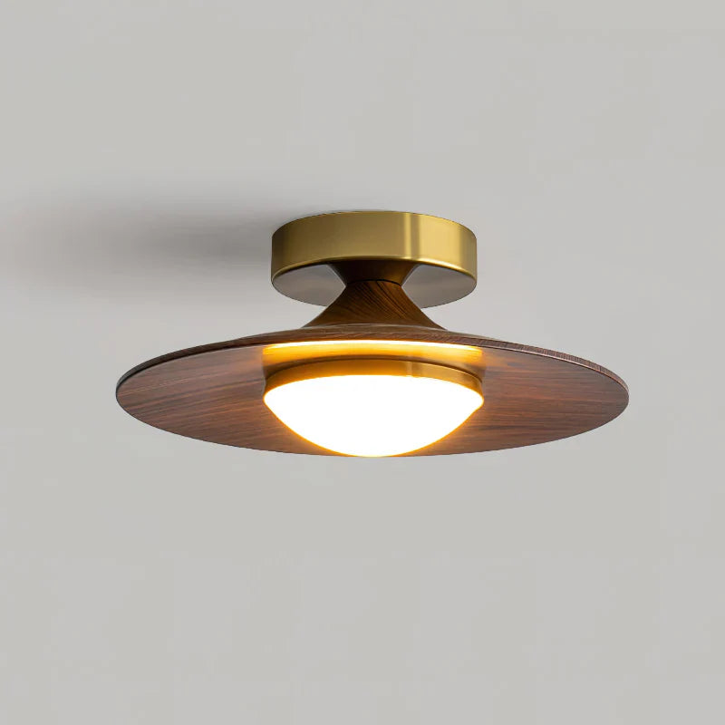 Scandinavian Style Metal LED Ceiling Fixture | Pelrixo