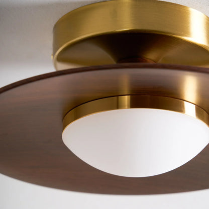 Scandinavian Style Metal LED Ceiling Fixture | Pelrixo