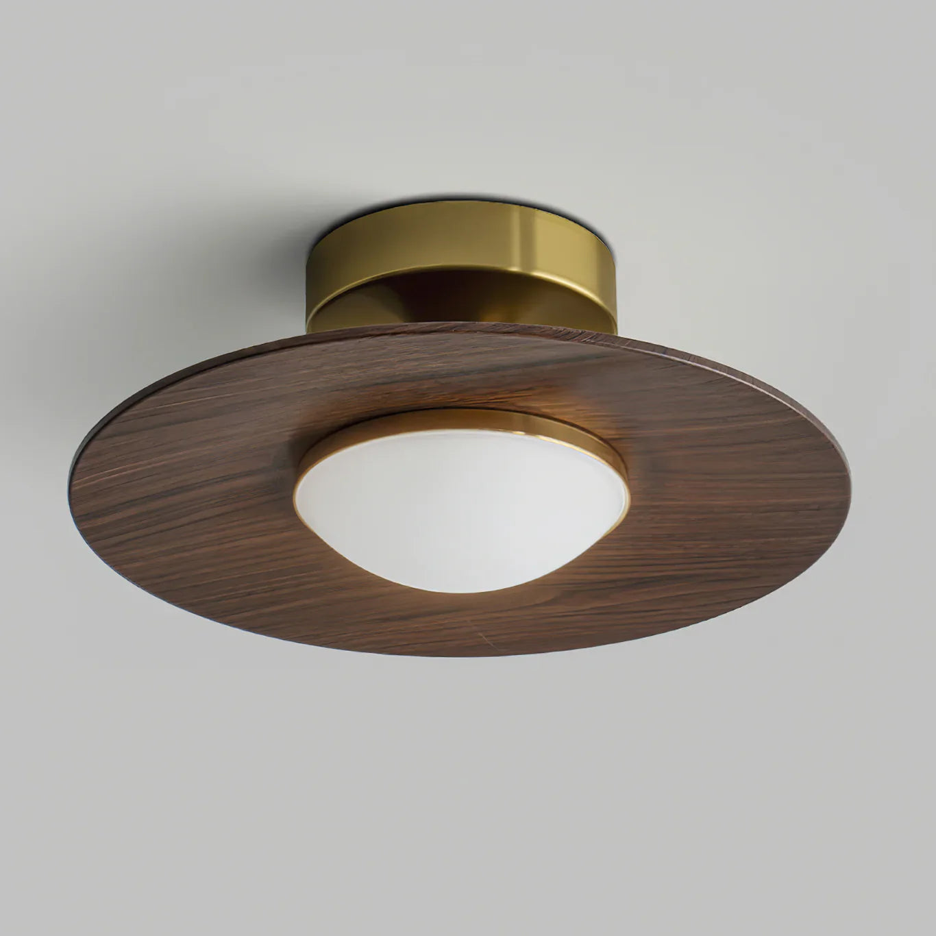 Scandinavian Style Metal LED Ceiling Fixture | Pelrixo