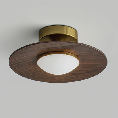 Scandinavian Style Metal LED Ceiling Fixture | Pelrixo