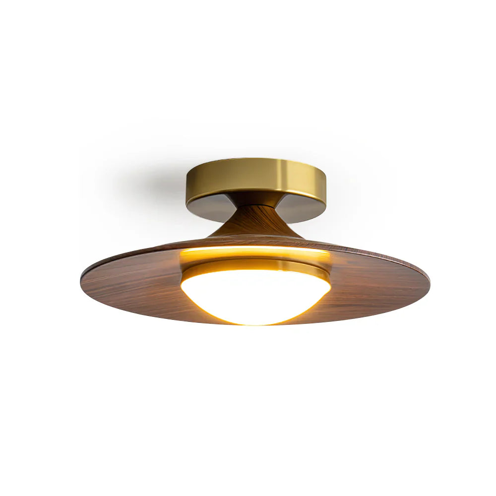 Scandinavian Style Metal LED Ceiling Fixture | Pelrixo
