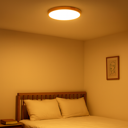 Scandinavian Wood LED Ceiling Ring Light | Naviro