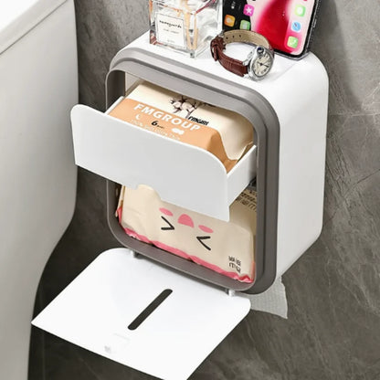 Toilet Paper Holder with Enclosed Storage Compartment
